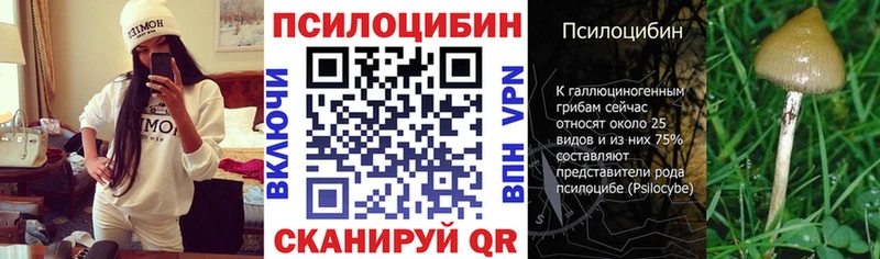 закладка  Жуков  Псилоцибиновые грибы Magic Shrooms 